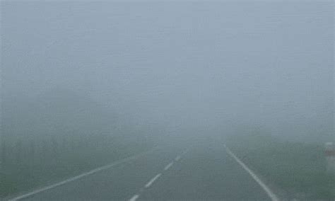 Foggy GIFs - Find & Share on GIPHY