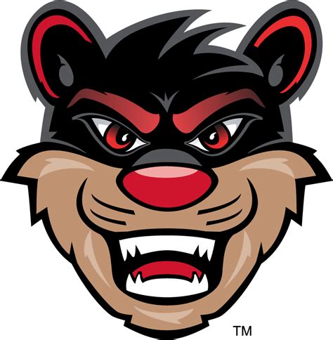 Cincinnati Bearcats Logo - Mascot Logo - NCAA Division I (a-c) (NCAA a ...