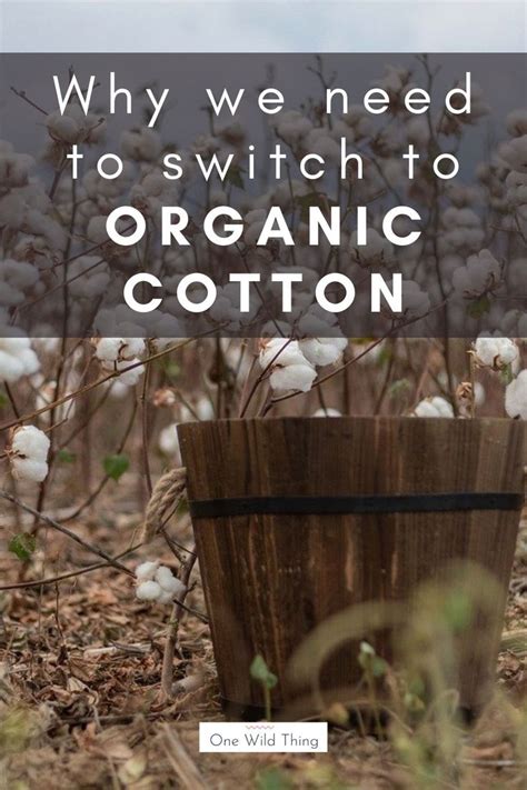 Environmental Impact of Cotton | Environmental impact, Habitat ...