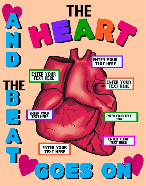 Make a Science Fair Project About the Heart | Heart Anatomy Science ...