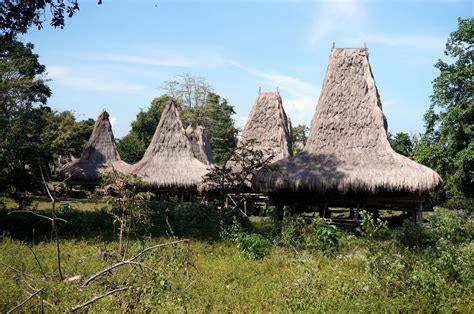 Sumba Timur trip. Traditional Sumba houses - Tirto Utomo