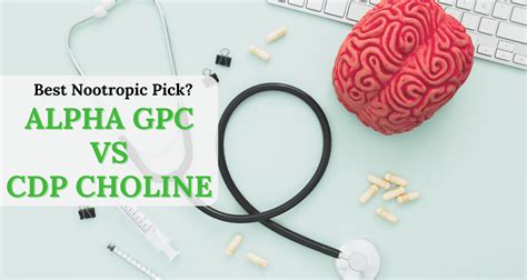 Alpha GPC vs CDP Choline: Best Nootropic Pick?