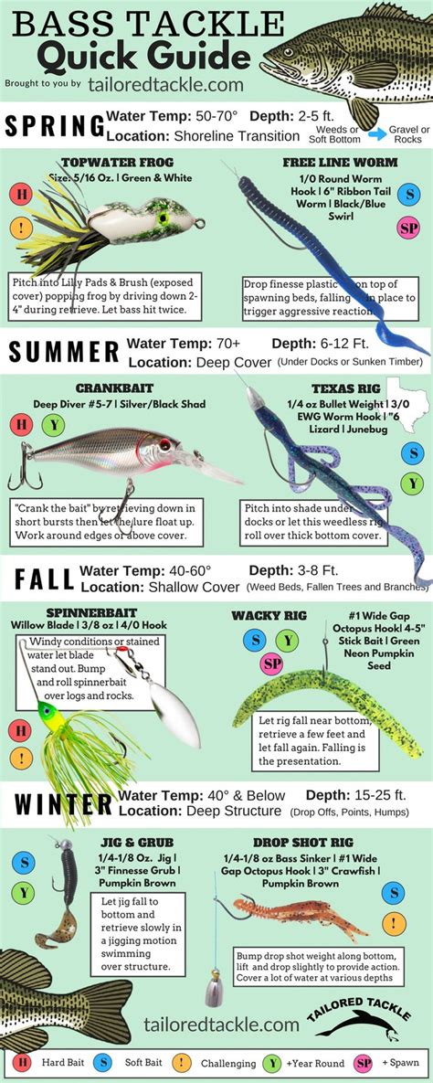 bass beginners fishing #bassfishingtips | Bass fishing tips, Crappie ...