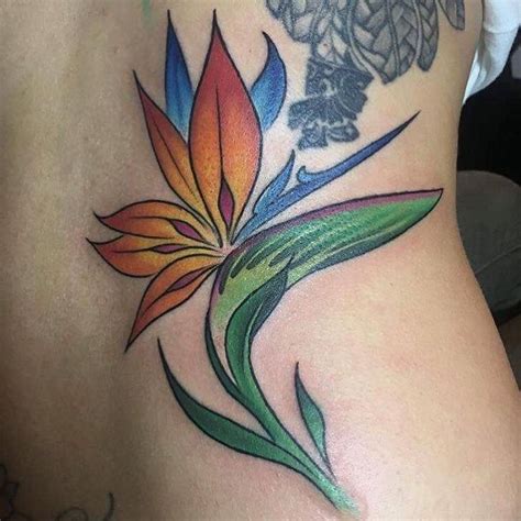 Bird Of Paradise Tattoo Meaning