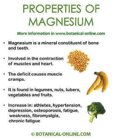 Properties of magnesium – Botanical online