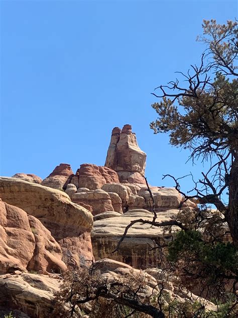 Hike the Joint Trail to Chesler Park in Canyonlands : Diary of a Gen-X ...