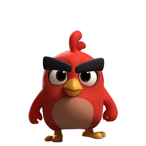 Incredible Compilation: Over 999 Angry Bird Images in Stunning 4K Quality