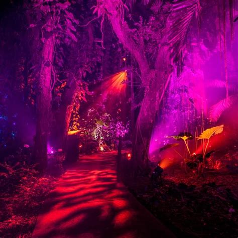 NightGarden Miami Experience: A magical light garden