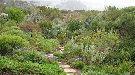 Fynbos Gardens Hermanus: May 2013