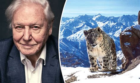 Sir David Attenborough on the return of Planet Earth II | Express.co.uk