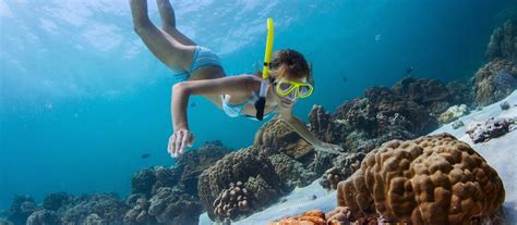 Snorkeling - Boa Vista - Cabo Verde