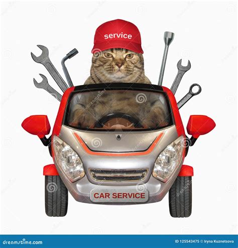 Wheel Repair. Cat Isolated On White Stock Image | CartoonDealer.com ...