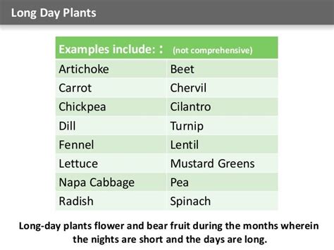 Seed Timinig 101 (Vegetable Gardening)