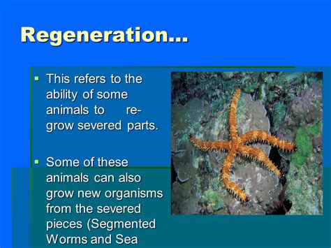 ASexual Reproduction Lesson - Presentation Biology