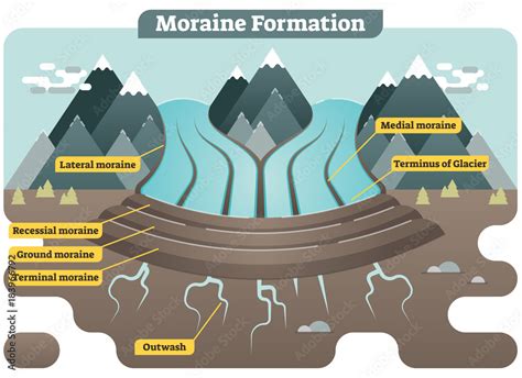 Moraine formation illustrated vector diagram showing landscape with ...