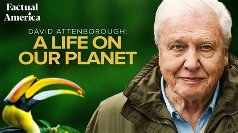 David Attenborough - DollaDemilee