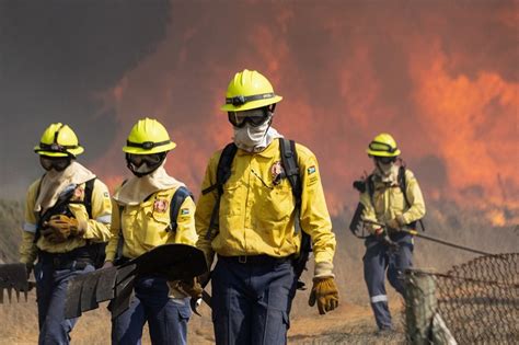 South Africa: Cape Town fire damages nearly 200-year-old library ...