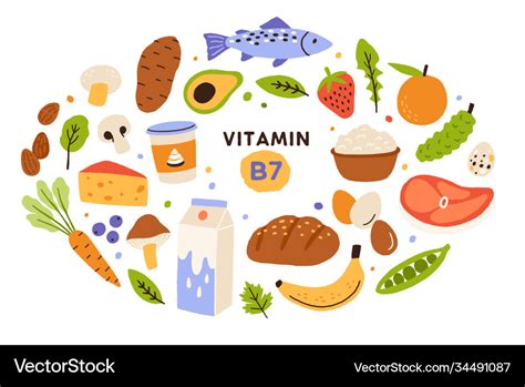 Collection vitamin b7 source food containing Vector Image