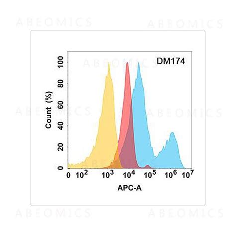 Anti-ROR2 antibody(DM174), Rabbit mAb - PD-L1 ELISA Kit, Dnmt1, Caspase ...