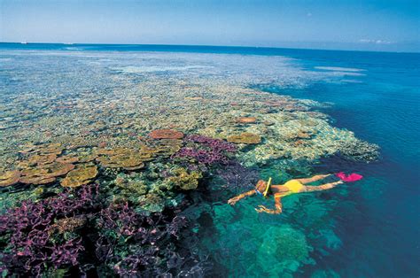 Most Amazing Facts About Wonders of the Great Barrier Reef