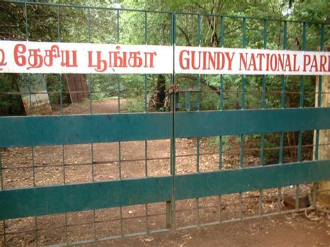 Guindy National Park, Chennai | Timings, Entry Fee, Images | Holidify