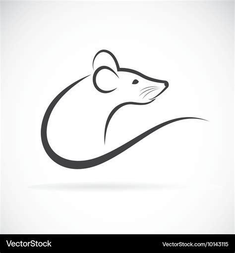 Rat design Royalty Free Vector Image - VectorStock