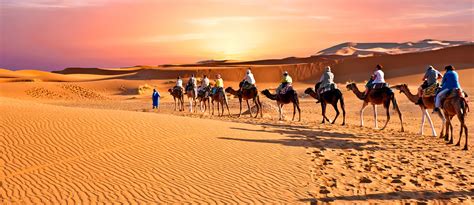 All About the Arabian Desert: Geography, Climate & More - MyBayut