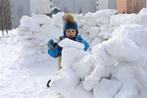 Canadian Wildlife Federation: Weekly Winter Do-It-Yourself Winter ...