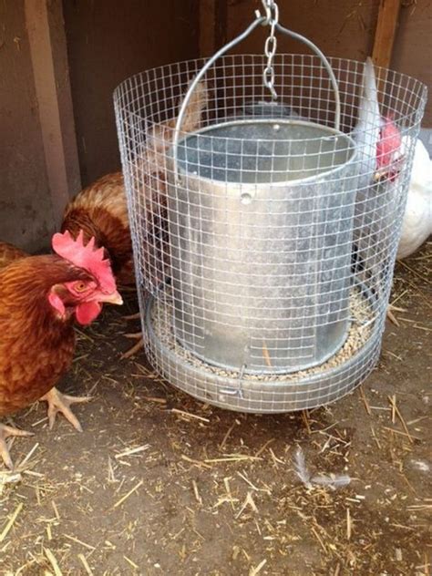 6 Easy to Make Chicken Feeder Ideas for Healthy Livestock