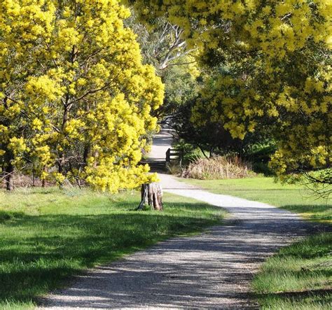 WATTLE PARK (2024) All You Need to Know BEFORE You Go (with Photos)