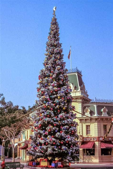 MickeyPhotos: Christmas Tree at Disneyland in the 60's (back when they ...