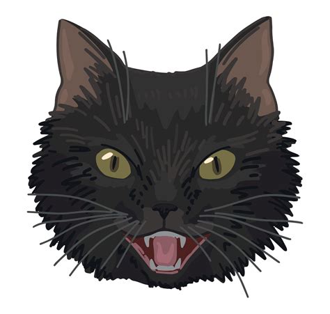 Angry black cat face clipart isolated on white. Cartoon style drawing ...