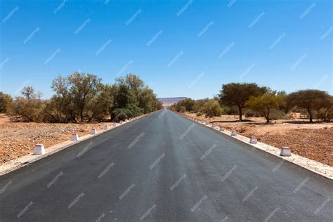 Premium Photo | Moroccan desert landscape with plants and mountain range