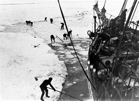 Shackleton - Ernest Shackleton and the Endurance expedition, into the ...