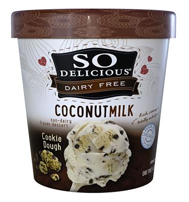 coconut milk ice cream brands