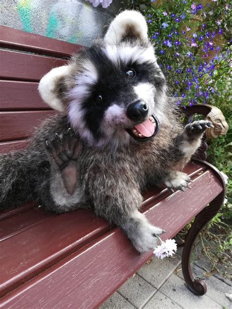 Realistic soft & plush toy: Stuffed raccoon. FOR ORDER. | Etsy