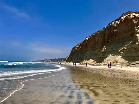 Torrey Pines Beach / Torrey Pines State Beach Southern California S ...