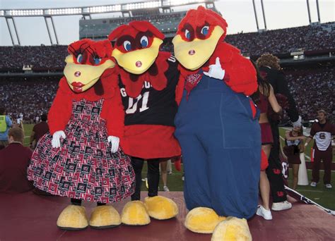 South Carolina Gamecocks mascot Cocky poses with his parents as they ...