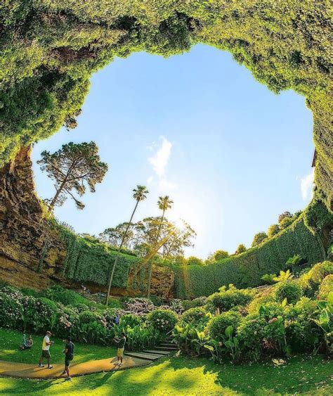 The Breathtaking 'Sunken Garden' in Australia - Plants Spark Joy