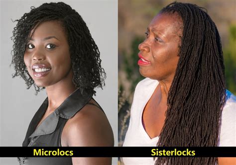 Microlocs Vs. Sisterlocks: Which One Is Better? – Hairstyle Camp