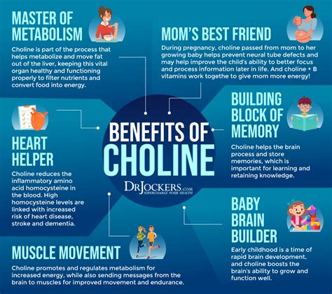 Choline: Signs of Deficiency, Benefits, and Food Sources - DrJockers.com