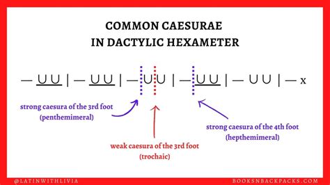 An Epic Guide to Dactylic Hexameter in Latin & Ancient Greek