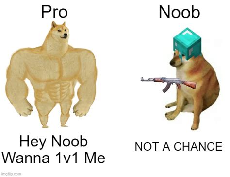 Noob vs Pro - Imgflip