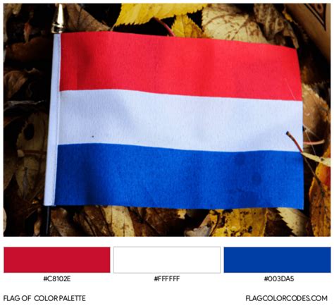 The Netherlands flag color codes