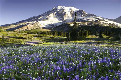 Washington State Wilderness Areas - MAXIPX