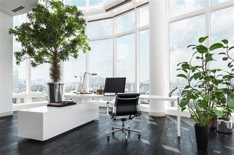 Office Indoor plants - Nabat Delivery | The Plant That You deserve