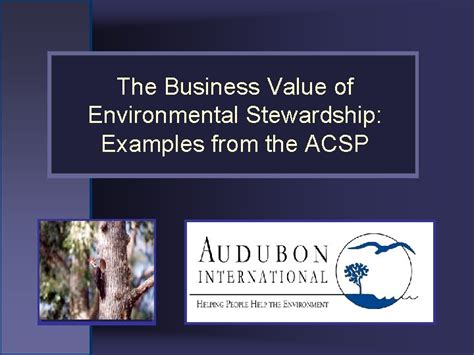 The Business Value of Environmental Stewardship Examples from