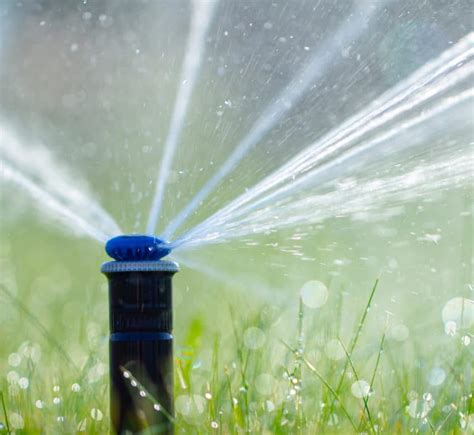 3 Types of Sprinkler Heads | Spartan Irrigation | Lansing, MI