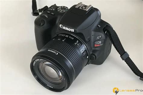 📸 5 MUST-OWN Lenses For Canon SL2 In 2024 [Guide]