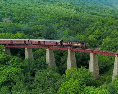 Goram Ghat Forest Reserve Eco trips on wheels – train safari – Udaipur ...